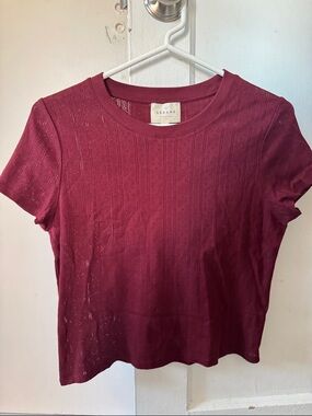 Sezane Short Sleeve Pointelle Tee in Burgundy